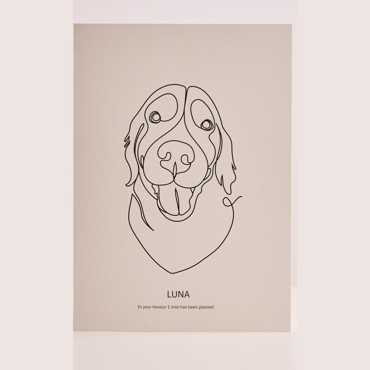 Pet portrait